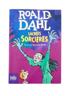 Livre Sacrées sorcières ROALD DAHL