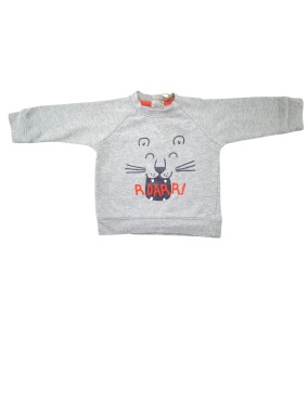 Sweat manches longues ROARR TEX taille 9 mois