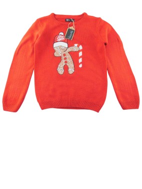 Pull ML petit biscuit TEX taille 6ans