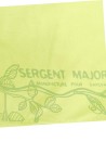 T-shirt ML plante SERGENT MAJOR taille 7ans