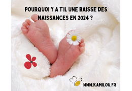 Pourquoi Y a-t-il une Baisse des Naissances en 2024 ?