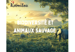 Biodiversité et animaux sauvages : va-t-on dans la bonne direction ?