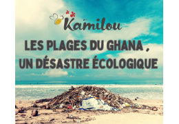 Les plages du Ghana : entre beauté et désastre écologique